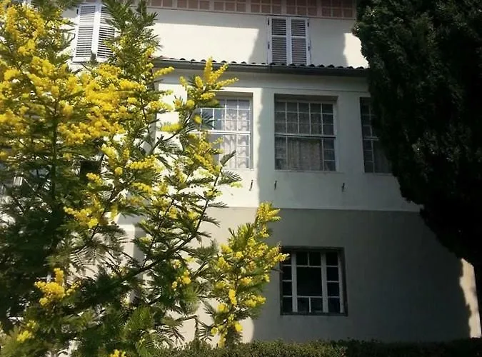 Vintage Magnolia 3* Πούλα