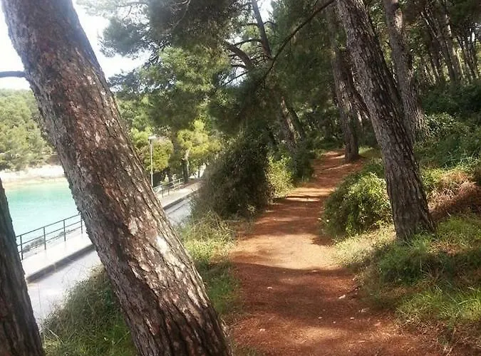 Πανσιόν Vintage Magnolia 3*