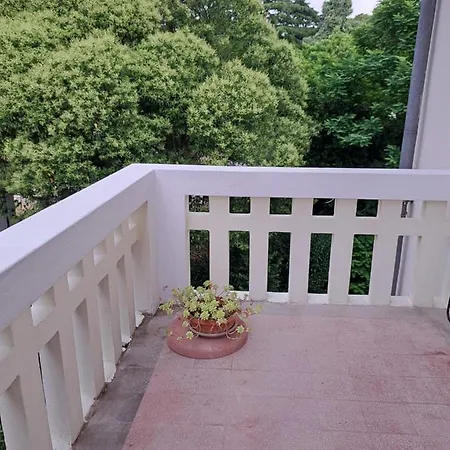 招待所 Vintage Magnolia