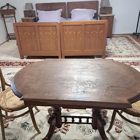 招待所 Vintage Magnolia