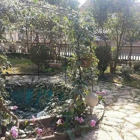 Гостевой дом Vintage Magnolia Пула