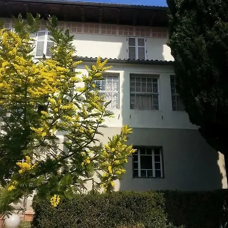 Vintage Magnolia 3* 普拉