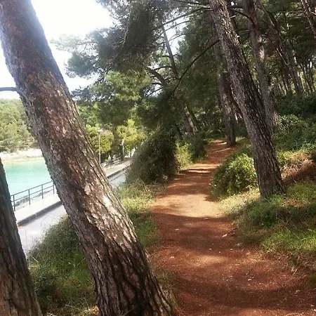 招待所 Vintage Magnolia 3*