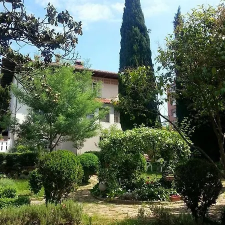 Vintage Magnolia 招待所 普拉