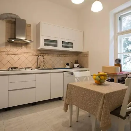 Vintage Magnolia 普拉