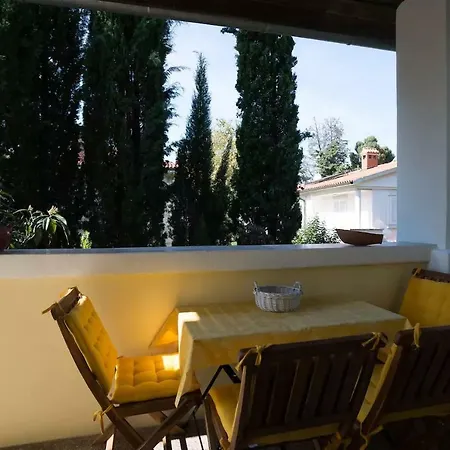 Vintage Magnolia 普拉