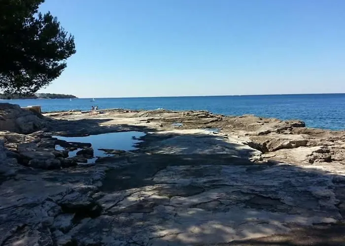 Vintage Magnolia 3* Pula