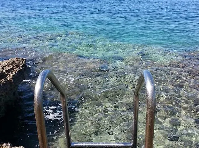 Vintage Magnolia Pula